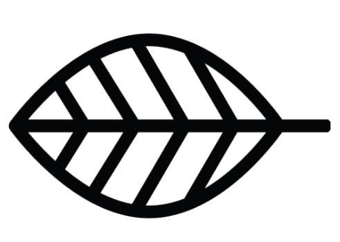 Plant -B Clothing Design